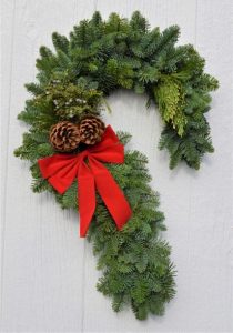 candy cane shape wreath with noble fir as base and pinecones, yellow cedar, blue juniper berries and red bow